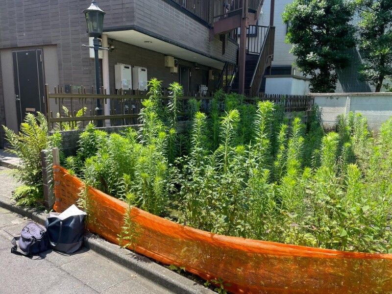 施工前の画像
